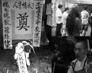 ��ţ��Ϊ��ţ��׷���� �Ʒ����ʽ������(ͼ)